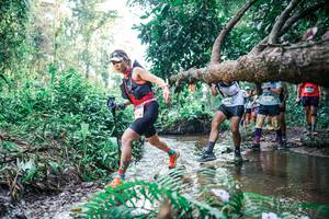 BIB: 
                            <button type="button" onclick="openModal(25454506)" class="btn btn-primary btn-sm float-right btn-popup" data-toggle="modal" data-target=".modal-high-quality">
                        <i class="fas fa-shopping-cart"></i> Add to Cart
                    </button>
                                            <button type="button" onclick="isThisMe(25454506, true)" class="btn btn-success btn-sm float-right btn-popup btn-isme hidden" data-toggle="tooltip" data-placement="bottom" title="นี่คือรูปของคุณใช่ไหม คลิกที่นี่เพื่อเอาเข้าอัลบั้ม">
                        <i class="fas fa-plus"></i> Add to album
                    </button>
                    <button type="button" onclick="isThisMe(25454506, false)" class="btn btn-warning btn-sm float-right btn-popup btn-isnotme hidden">
                        <i class="fas fa-ban"></i> Remove from album
                    </button>